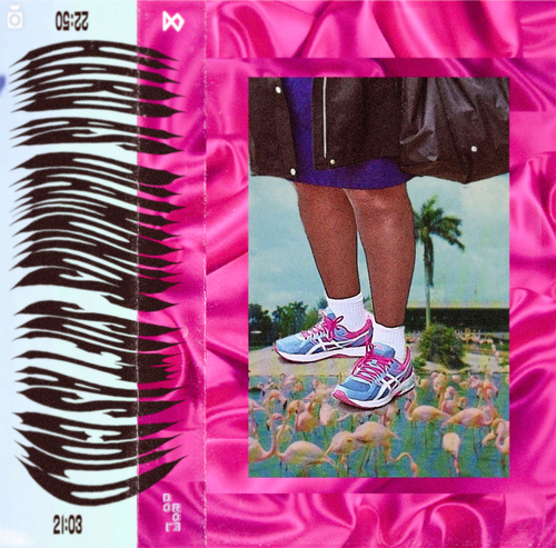 Webp.net-resizeimage (3)